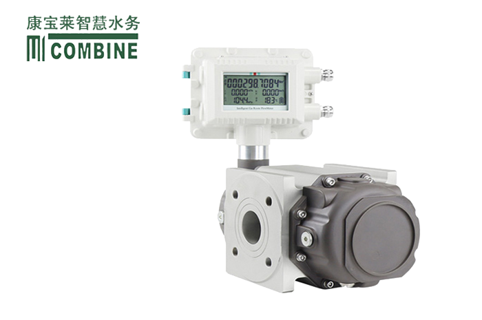 氣體羅茨流量計